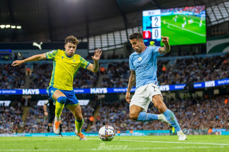 色的运动成 色的运动成